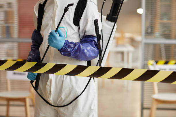 Professional Sewage Cleanup technician working in Oakdale, NE