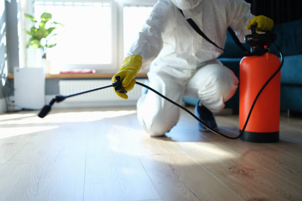Reliable Sewage Cleanup contractor in Oakdale, NE by Trauma Clean Pros